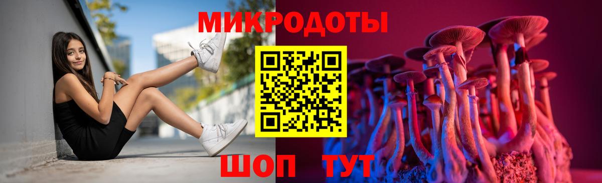Псилоцибиновые грибы Magic Shrooms  Вход с VPN  Гусь-Хрустальный 